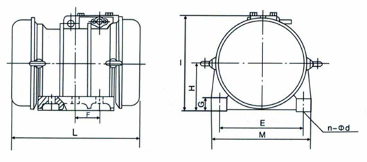 TZDC振動(dòng)電機(jī)外形圖